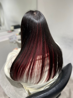 WISTERIA PLUS1 銀座一丁目×スタイル