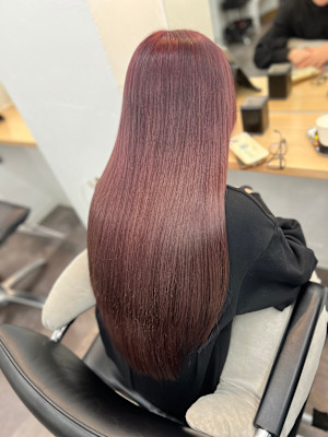 WISTERIA PLUS1 銀座一丁目×スタイル