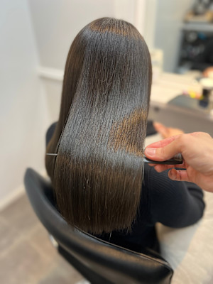 WISTERIA PLUS1 銀座一丁目×スタイル