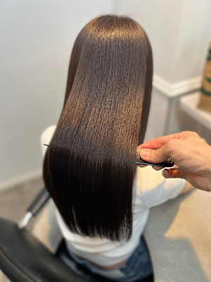 WISTERIA PLUS1 銀座一丁目×スタイル