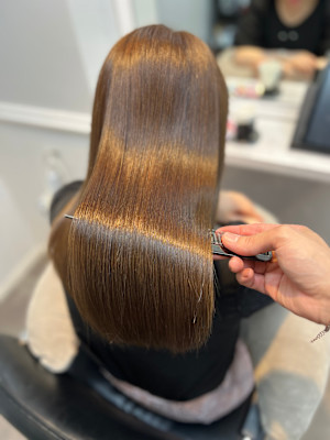 WISTERIA PLUS1 銀座一丁目×スタイル