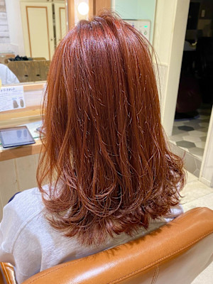 【Neolivekuta】ブリーチ×オレンジ