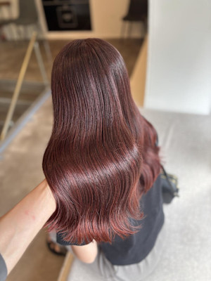 ピンクラベンダー