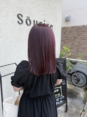 ピンクラベンダー