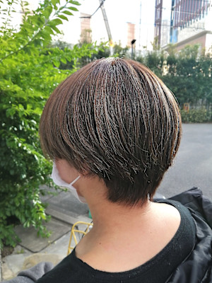 ショートレイヤー