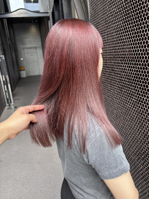 今の季節はこれ♪