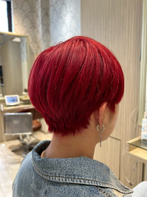 Vis ill 秋葉原店【ビス イル】×スタイル