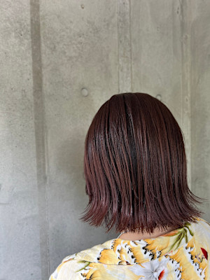 ELVITA×スタイル