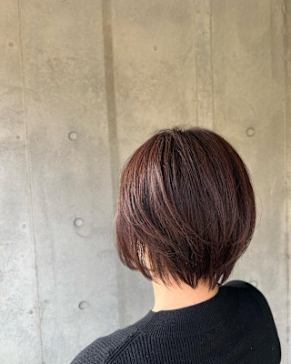 ELVITA×スタイル