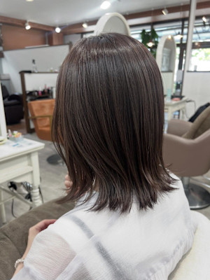 イルミナ/スターダスト/ミディアム