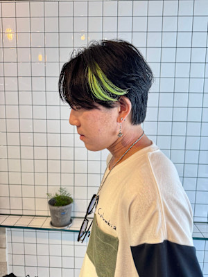 メンズ韓国スタイル/ポイントメッシュ/エクステ/ウルフ