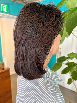 オーガニック100%ヘナで美髪ケア