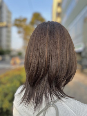 イルミナカラー