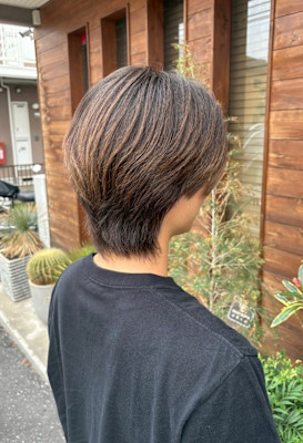 ミディアムウルフ