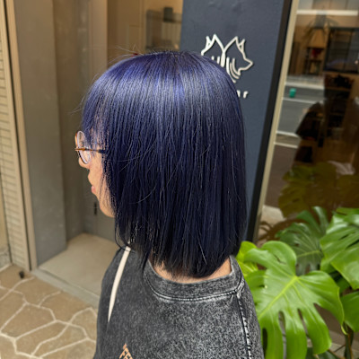 dog star×スタイル