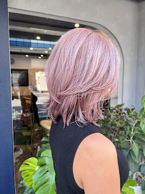 dog star×スタイル