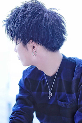 schottアップバング