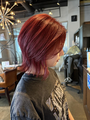 ボルドー/レッド/ダブルカラー