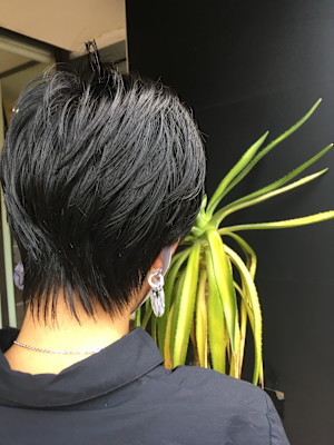 ショートレイヤー