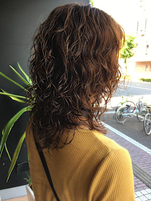 ハイライトウルフ