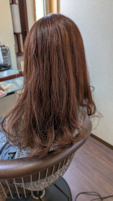 髪結 来羅×スタイル