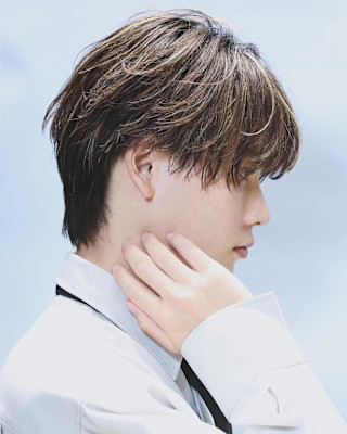 シースルーマッシュメッシュ