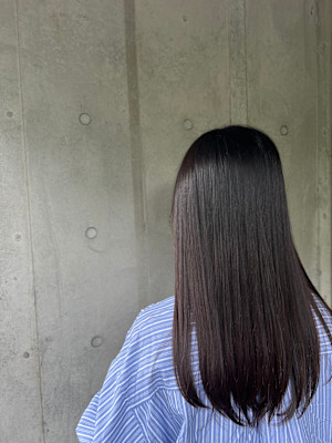 ELVITA×スタイル