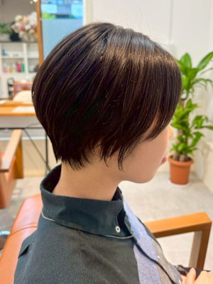 amule hair×スタイル