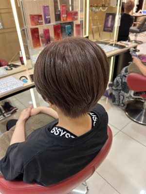 イルミナダブルカラー