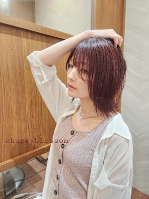 チェリーブロッサム