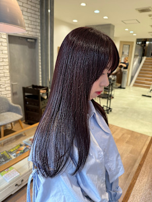 秋冬に映えるダークラベンダー【三軒茶屋】