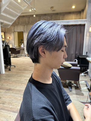 デザインカラー セクションカラー