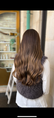 シルクハイライト