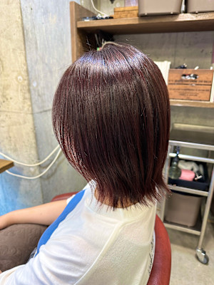 レッドカラー×ボブ