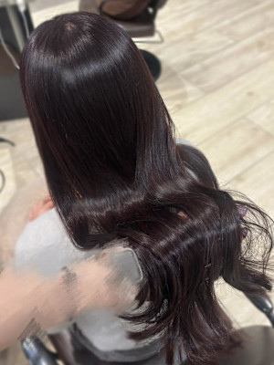 【Kurumi】愛されディープラベンダー☆