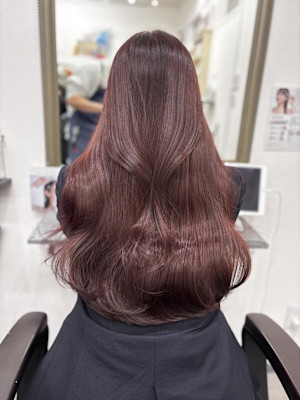 こっくりラベンダー