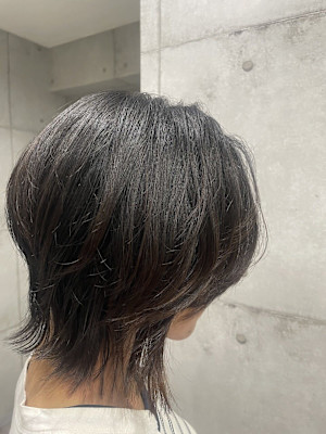 レディースボブウルフ