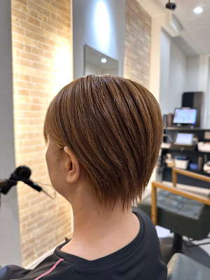 Gazebo【ガゼボ】×スタイル