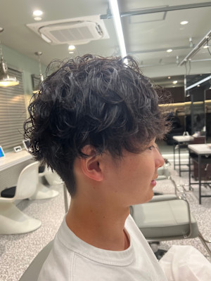 マッシュカール