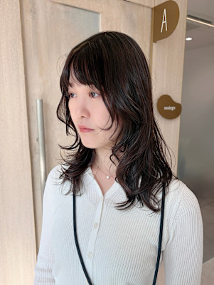 シャギーレイヤー/レイヤー