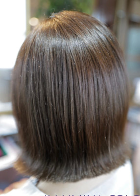 Trip REVIA×スタイル