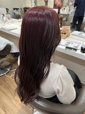 ブリーチなしダブルカラー/ワインレッド