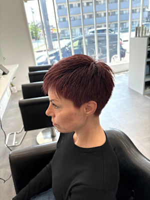 REGINA【レジーナ】×スタイル