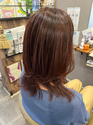 SiPULi×スタイル