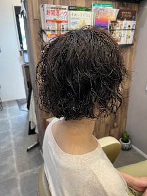 SiPULi×スタイル