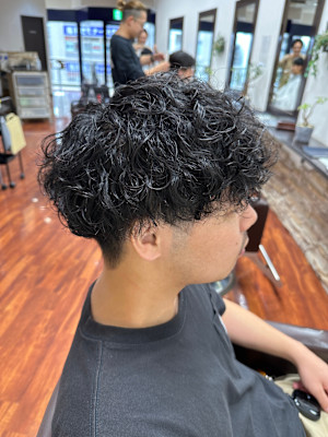 プードルショート