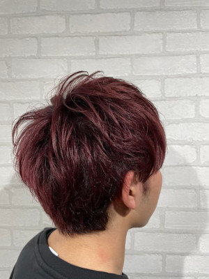 Vis ill 秋葉原店【ビス イル】×スタイル