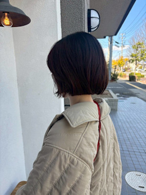 【katachi】担当日野　コンパクトボブ