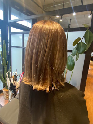 ミディアムレイヤー