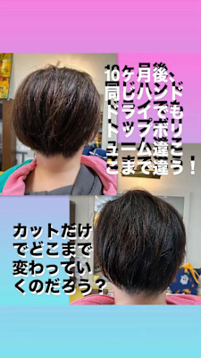 マッシュローレイヤー